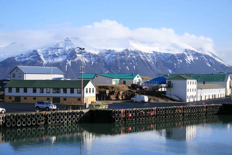 Höfns havn med roligt vand og bjerge samt byen i baggrunden.