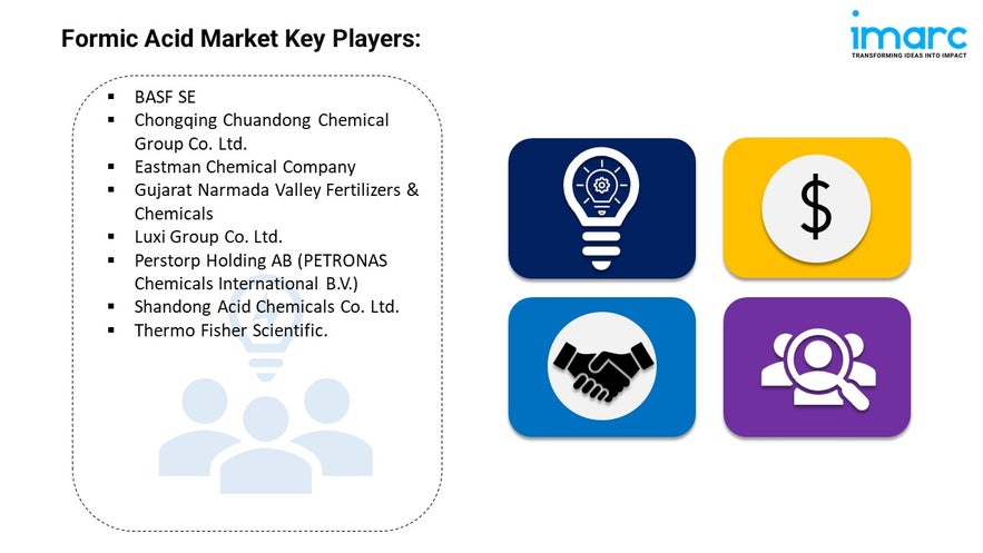 Formic Acid Market Key Players