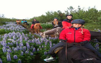 Volcano Horse Riding Tour in the Morning with Free Optional Pickup from Reykjavik