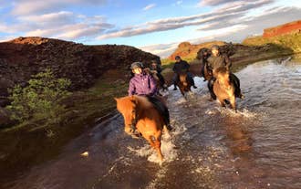 Horse Riding Tour of Raudholar with Free Optional Pickup from Reykjavik