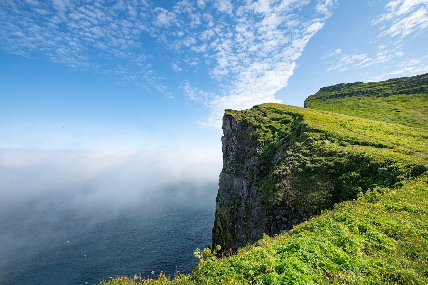 웨스트피오르드의 혼빅 근처 절벽의 풍경.