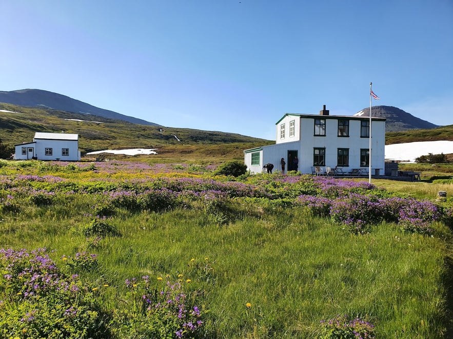 Old settlement buildings in Hornstrandir Nature Reserve during summer