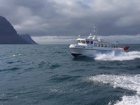 A boat crossing the sea from Isafjordur to Adalvik.