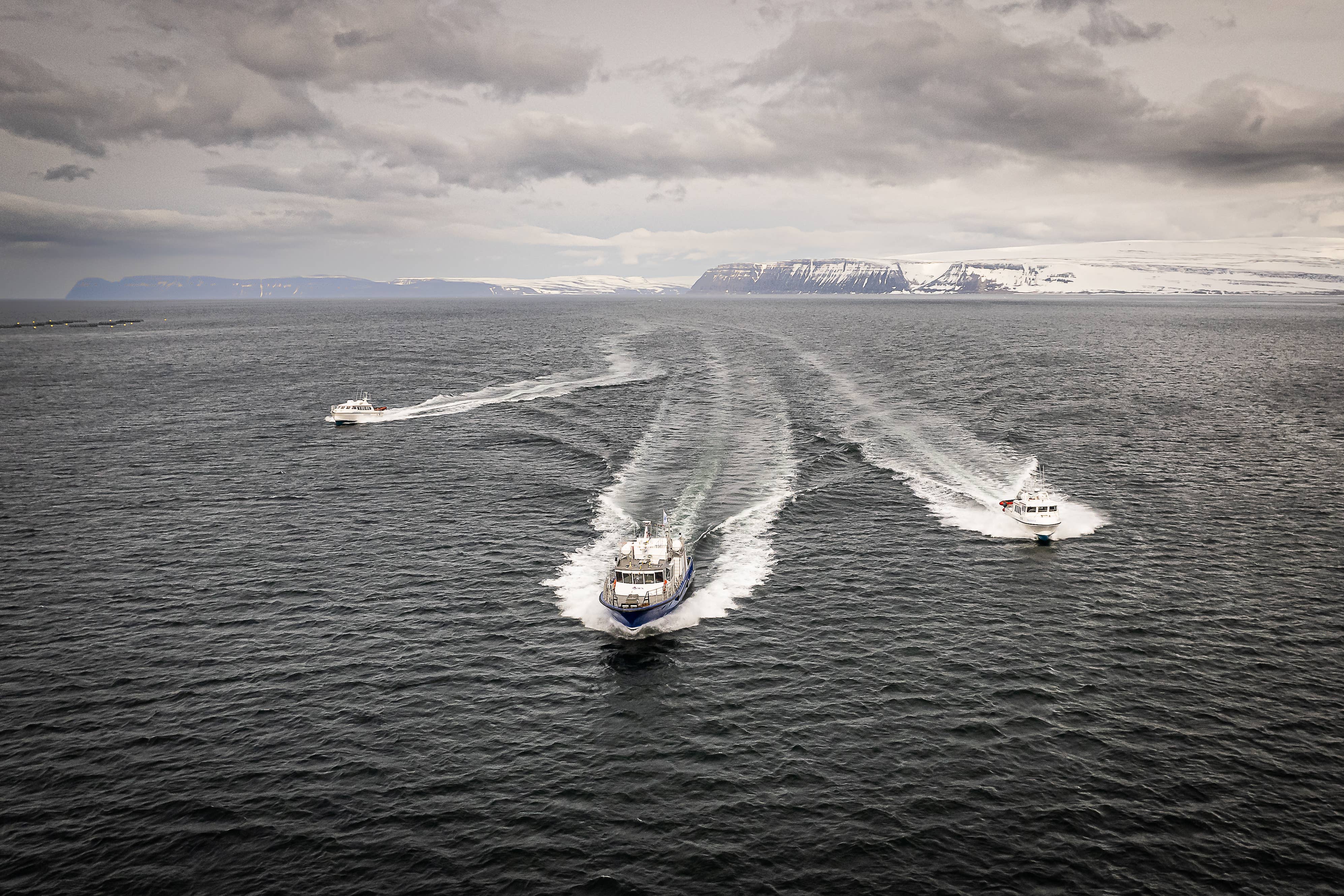 Three boats crossing the sea in the Westfjords of Iceland.