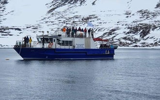 Guests enjoying the views during the boat ride to Isafjordur.