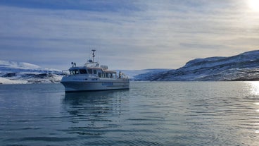 Ísafjörður - Veiðileysufjörður