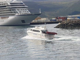 An expert boat crew will take you safely to Veidileysufjordur.