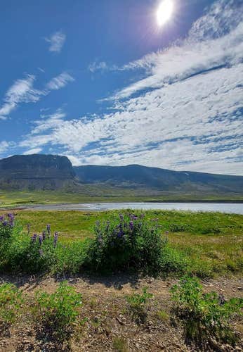 1-Hour Westfjords Boat Ride to Grunnavik from Isafjordur