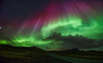 The northern lights can display various colours such as green, purple and pink.
