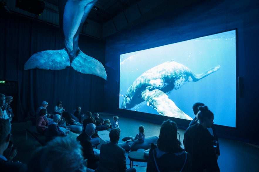 Visitors watching a whale documentary at the Whales of Iceland museum in Reykjavik, with life-size whale models and immersive displays.
