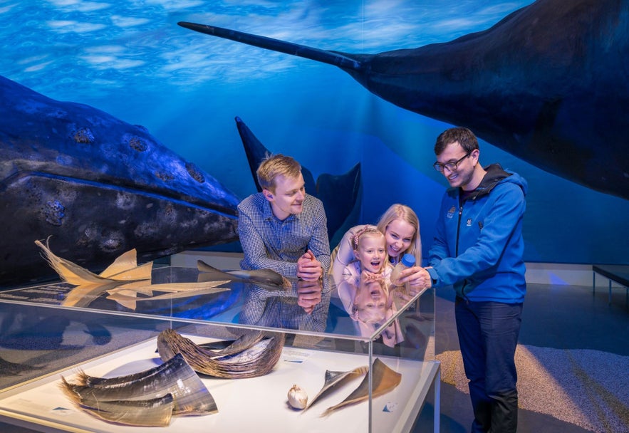 You can take an audio tour or guided tour at Whales of Iceland