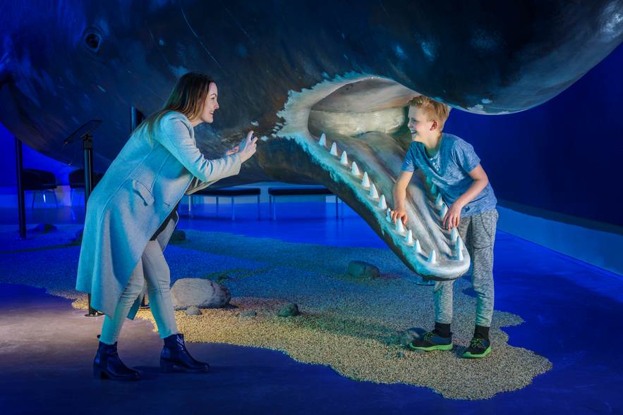 Whales of Iceland is fun for any age group!