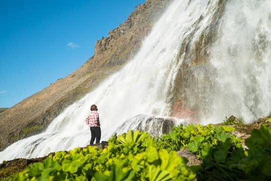 Westfjords Customized Private Day Tour
