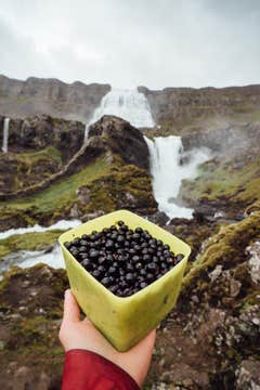Westfjords Customized Private Day Tour