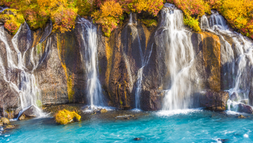 Hraunfossar waterfall cascades from a beautiful lava field.