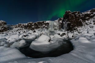 Golden Circle, Blue Lagoon & Northern Lights Small Group Tour with Admission