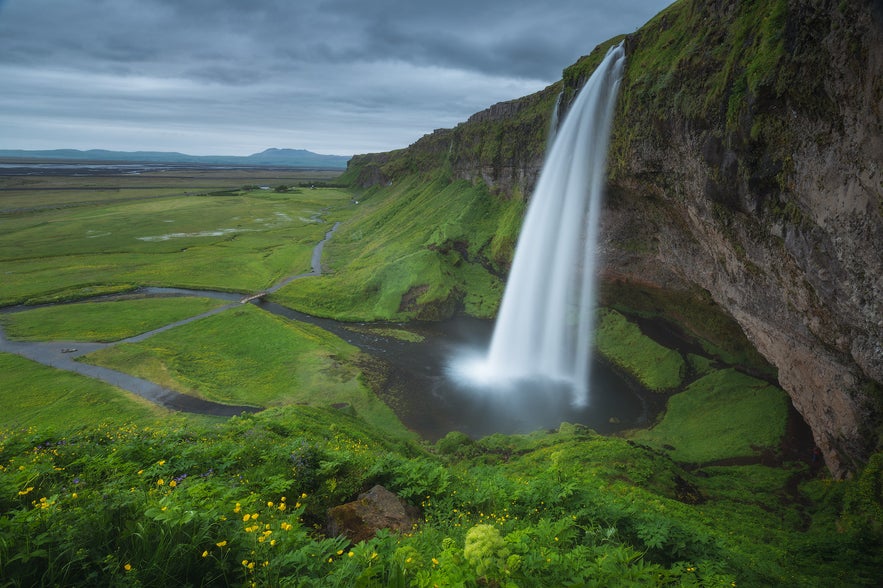 Vattenfallet Seljalandsfoss är ett av de få vattenfall på Island som du kan gå bakom.