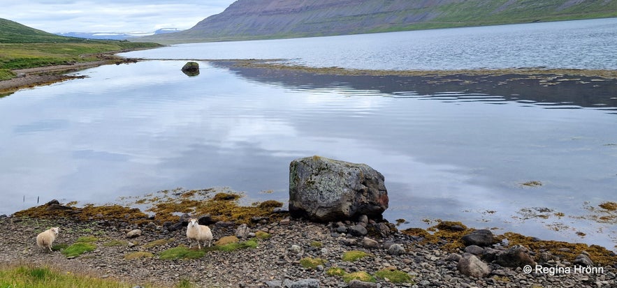 Dvergasteinn - the Rock of the Dwarfs in Álftafjörður in the Westfjords of Iceland