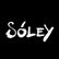 There are great shampoos, soaps, skincare, and more at Sóley Organics