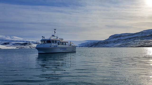 Family-Friendly 2-Hour Boat Ride from Isafjordur to Adalvik