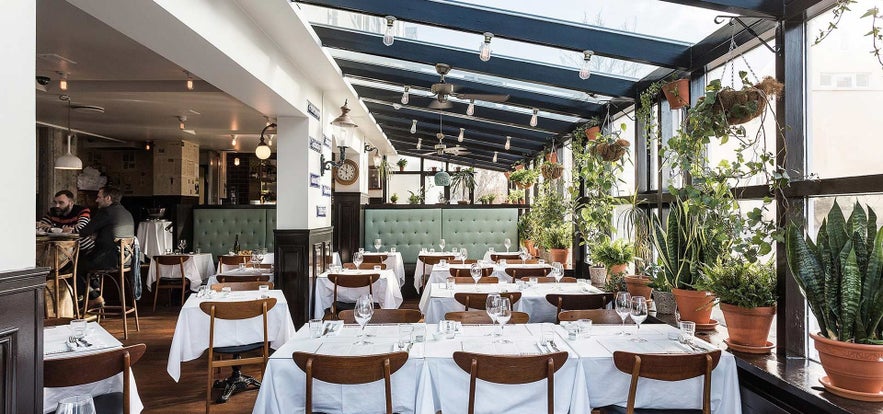 Best Restaurants in Iceland Open During Christmas &amp; New Year's 2025