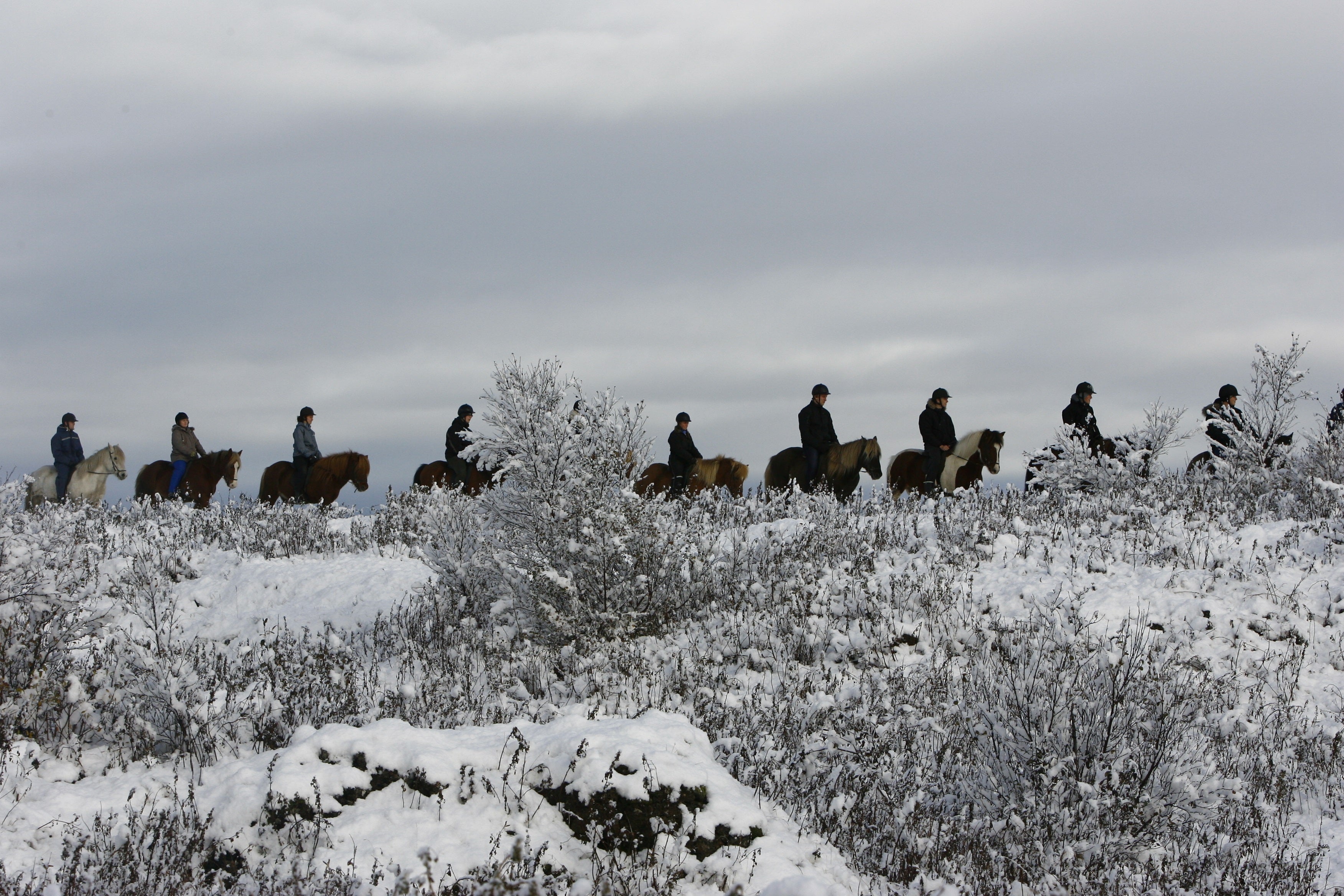 A group on a horse-riding tour riding through the snow-covered landscapes of Iceland during winter.