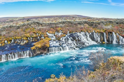 Hraunfossar pours through a lava field.