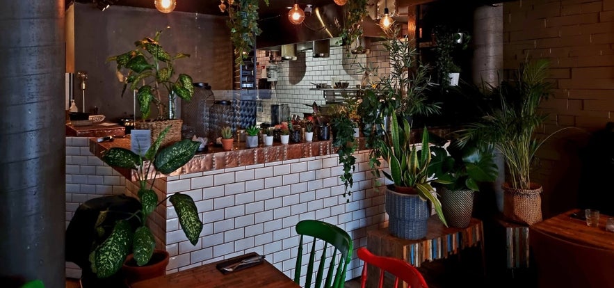 Kröns餐厅提供舒适多彩的用餐体验 Kröns餐厅提供舒适多彩的用餐体验