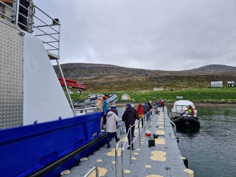 Express 2-Hour Boat Transfer from Hesteyri in Hornstrandir to Isafjordur