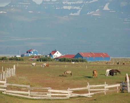 Husey Hostel & Horse Farm
