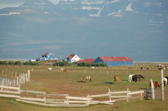 Husey Hostel & Horse Farm