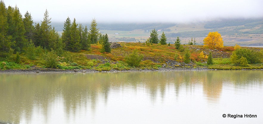 Fall at Lagarfljót