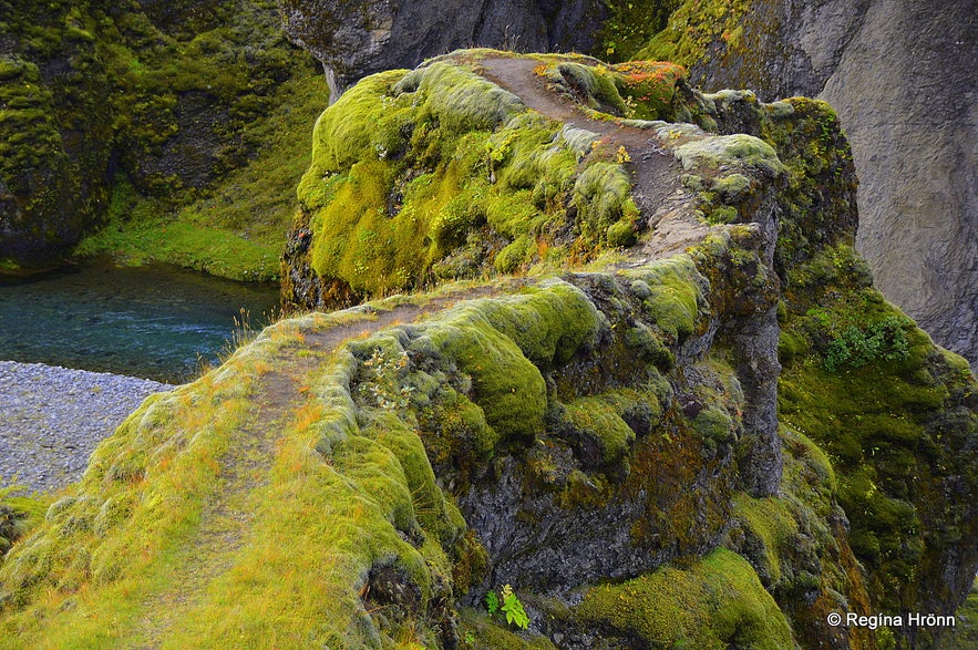  Fjaðrárgljúfur Canyon in South-Iceland