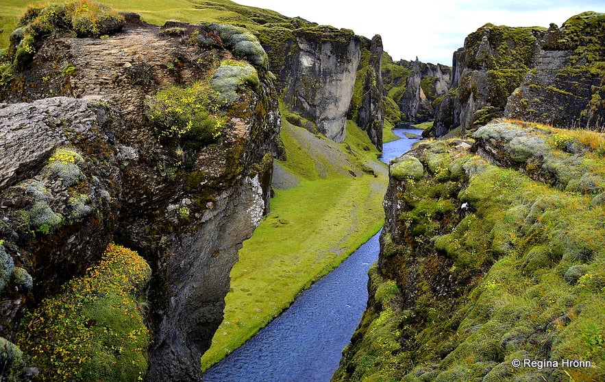  Fjaðrárgljúfur Canyon in South-Iceland