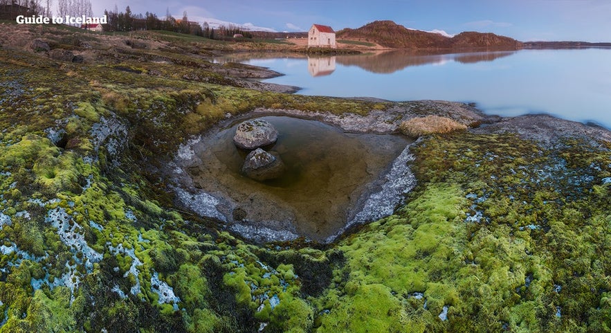 The shores of Lake Lagarfljot are surrounded by lava fields, forests, and abandoned buildings.