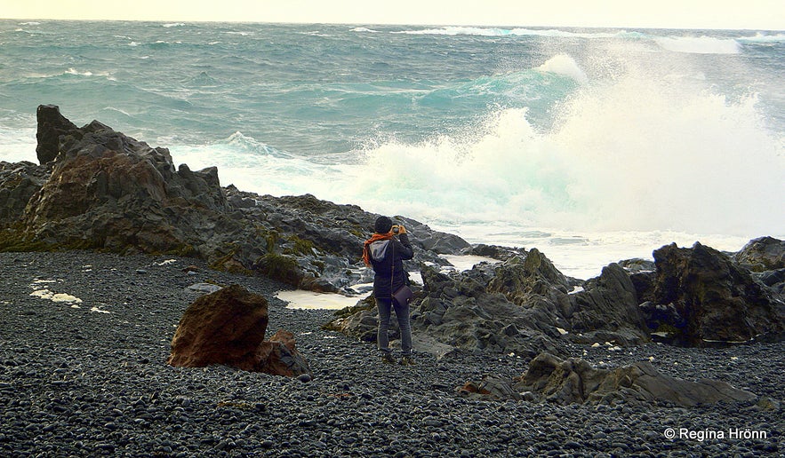 Djúpalónssandur lava beach Snæfellsnes