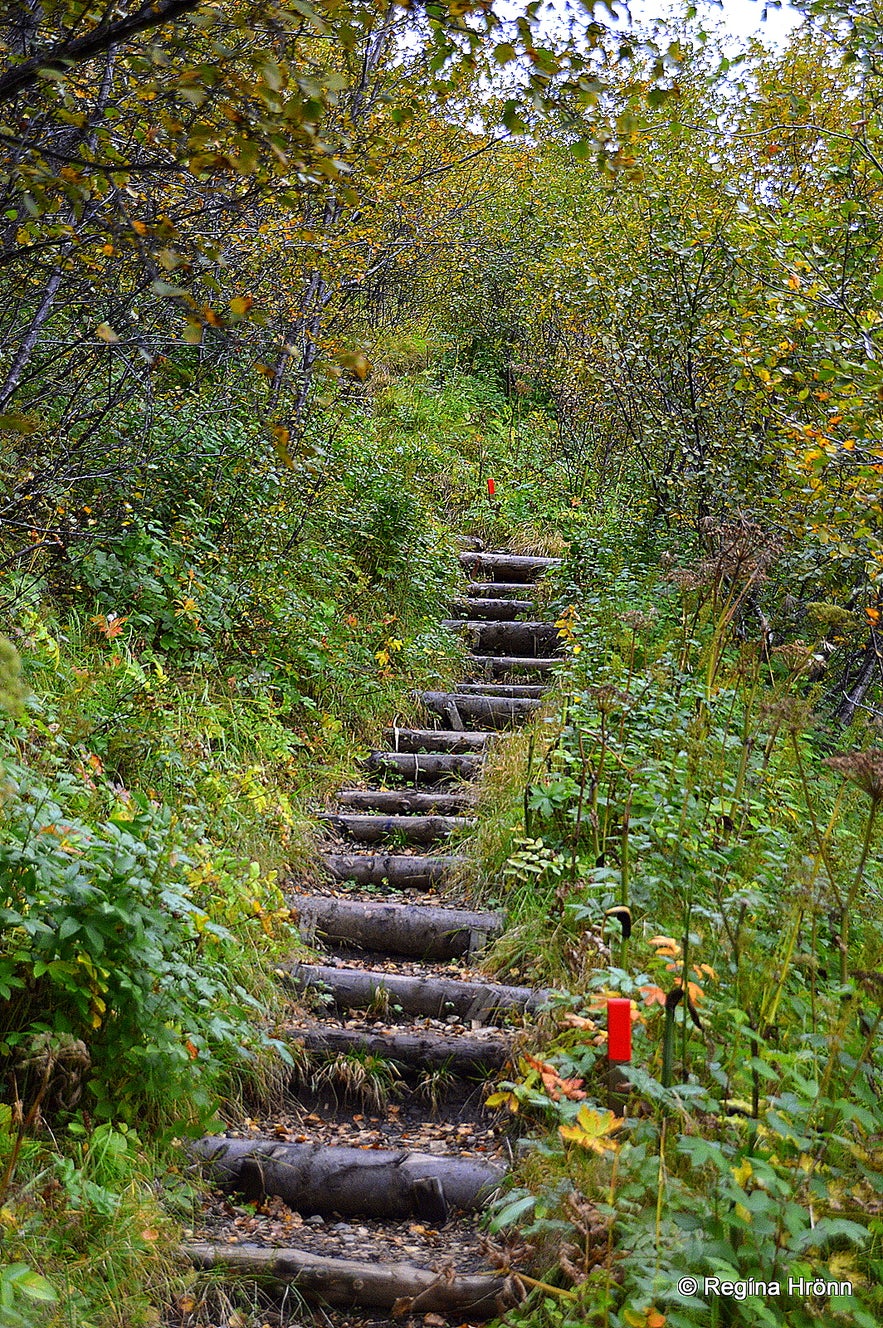 The trail leading to Lake Systravatn