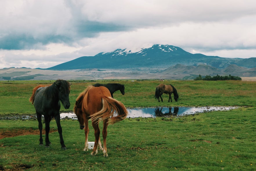 De vulkaan Hekla in IJsland is een van de meest explosieve van het land