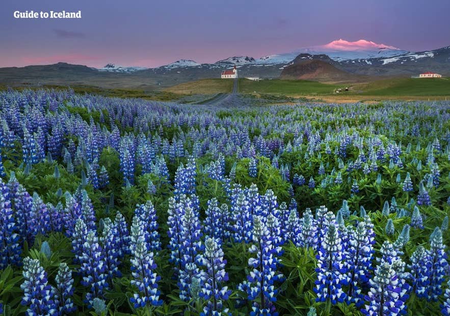 The world beneath of Snaefellsjokull is, according Jules Verne, filled with strange creatures and underground seas.