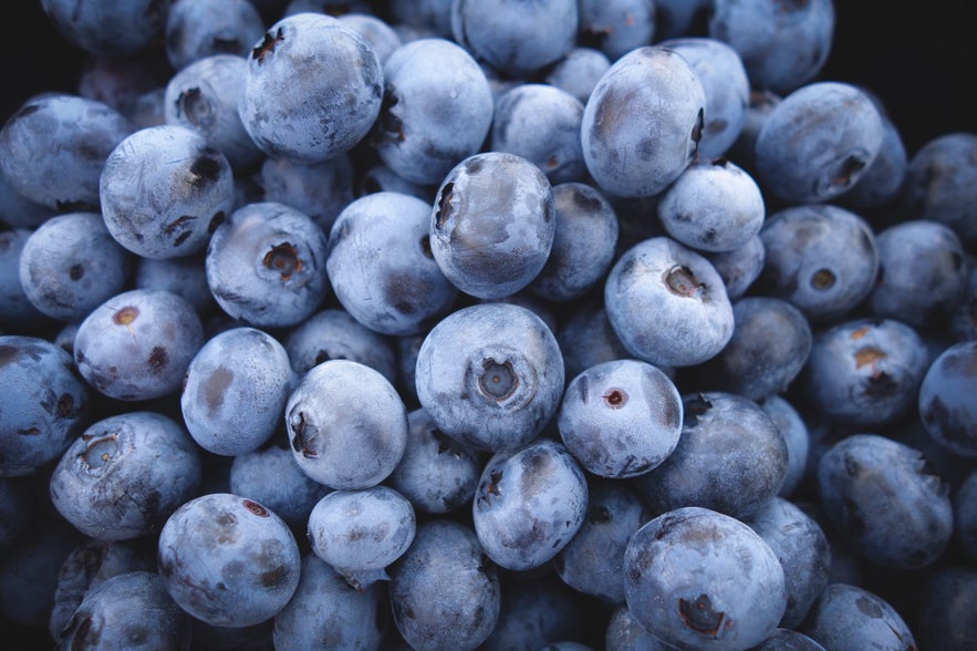 Blaubeerpflücken ist eine beliebte Aktivität im August.