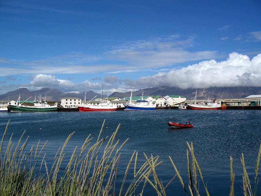 Der Hafen von Höfn í Hornafirði.