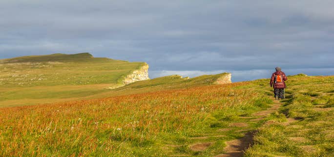Trolls in Iceland: The Ultimate Guide to Icelandic Troll Folklore