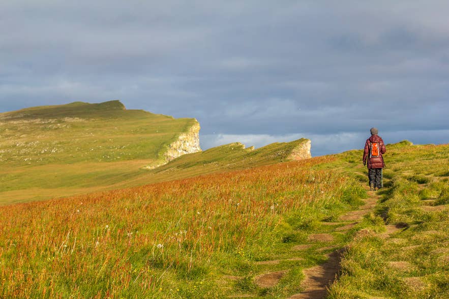A hiker walks along the Latrabjarg Cliffs in the Westfjords of Iceland, where summer brings the calm days that suit exposed coastal walks.