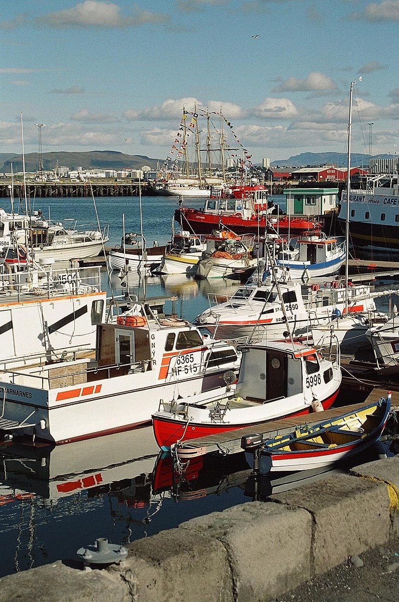 Reykjaviks hamn är en populär mötesplats.