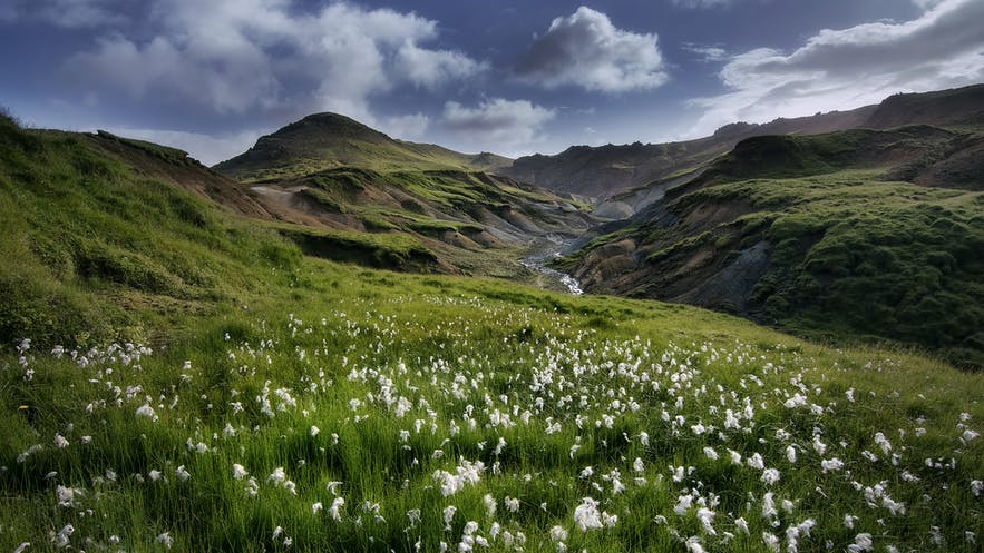 La penisola di Reykjanes è spesso trascurata da molti viaggiatori.