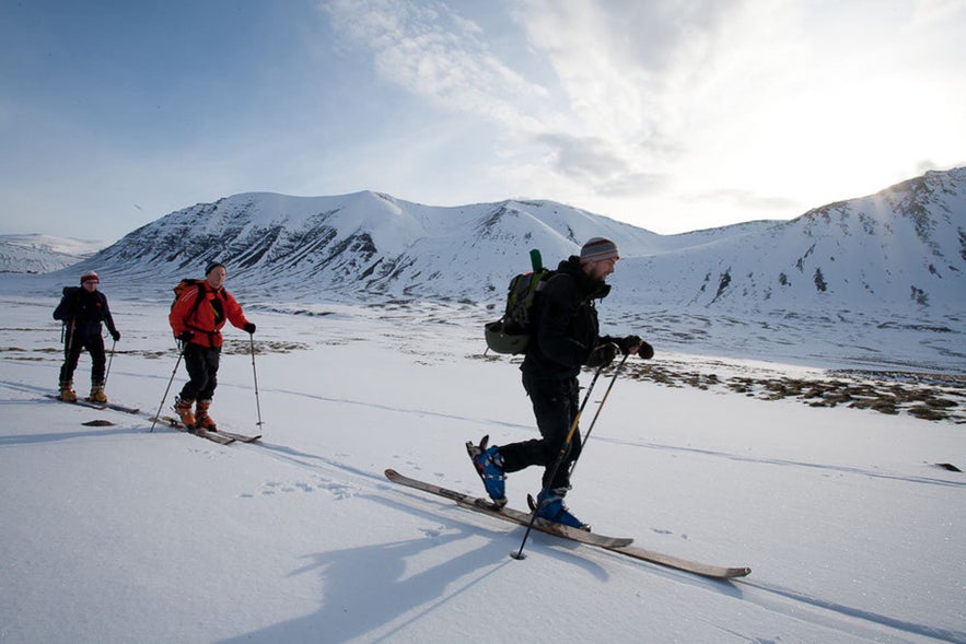 Stå på ski i Islands afsidesliggende Vestfjorde!