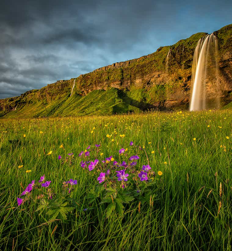 夏季旅行团及套餐