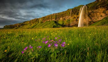 Tours y paquetes de verano en Islandia