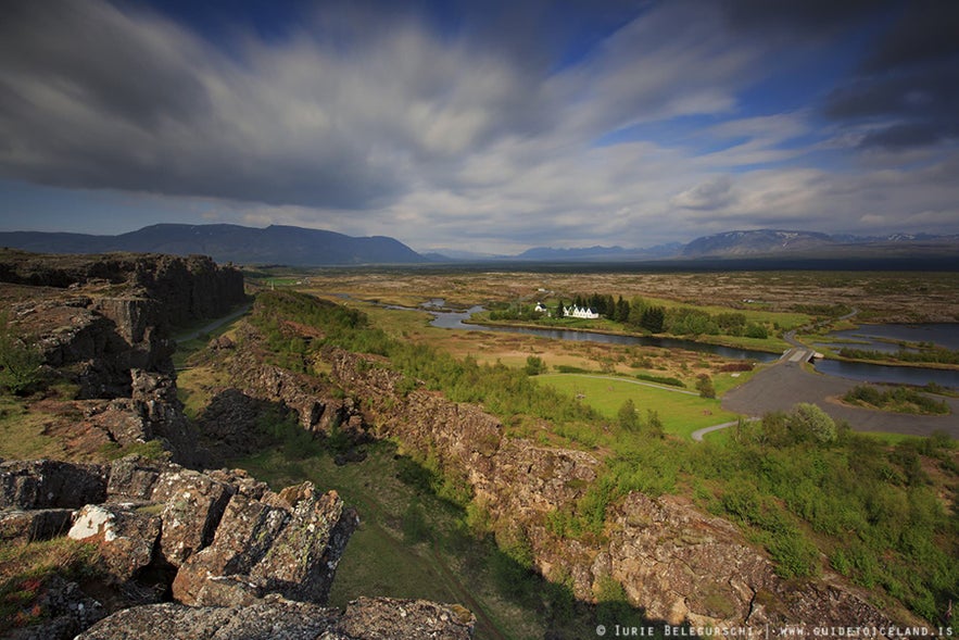 Forests bloom at Thingvellir in summer.