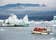 jokulsarlong glacier lagoon boat tour 11.jpg